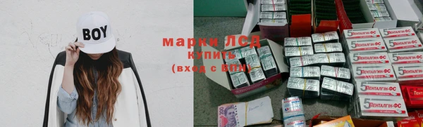 прущие грибы Богородицк