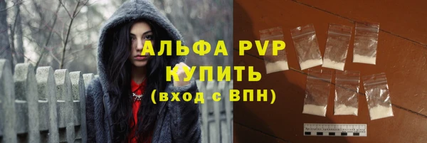 PSILOCYBIN Карабаново