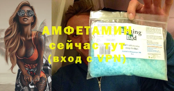 прущие грибы Богородицк
