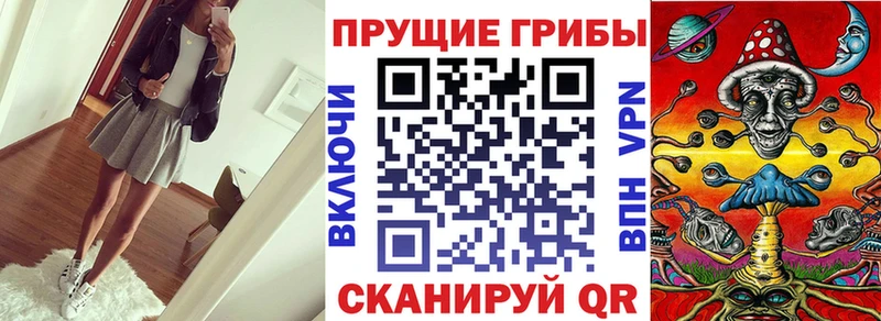 Псилоцибиновые грибы GOLDEN TEACHER Купить Берёзовский